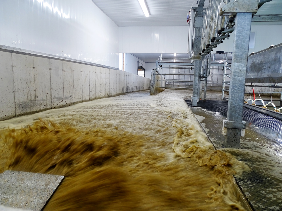 Daritech Flush Systems Dairy Lane Systems Manure Equip